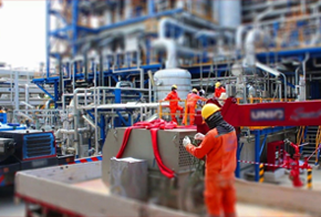 Tailored Assistance and Expert Guidance